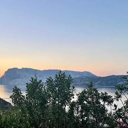 Punta Est - Andromeda Spazio Family & Pool Appartement Cap Coda Cavallo